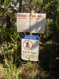pihea_vista_end_of_line _thumb.JPG